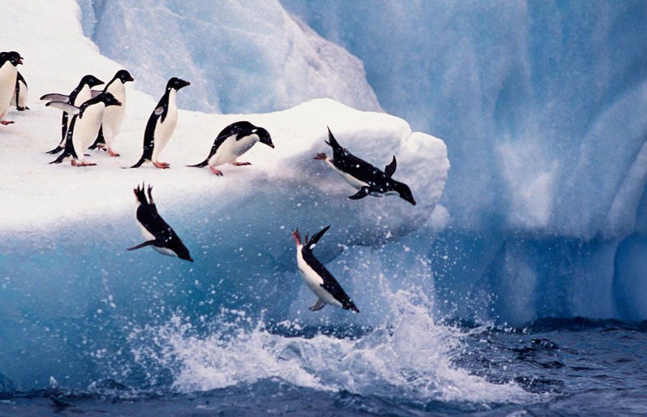 Unparalleled Luxury and Adventure of Antarctica