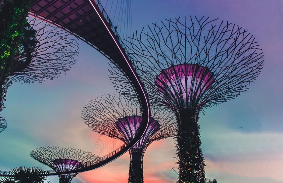 Insider Recommendation in Singapore – where to stay, eat and play