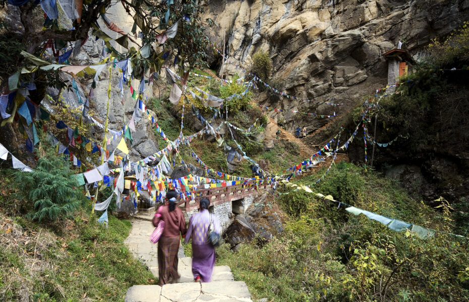 Happiest Branch in the World – Bhutan and its Trees