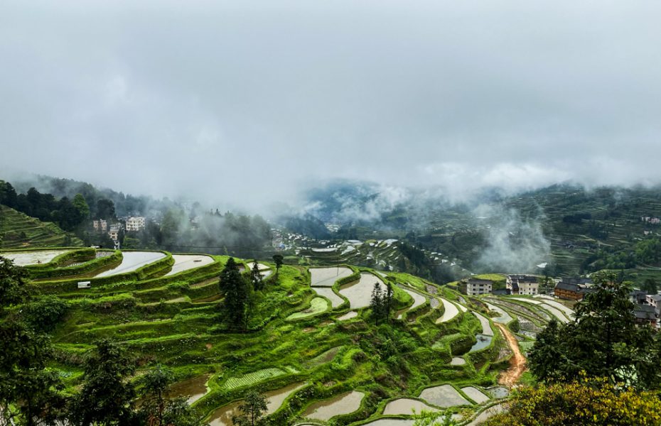 A sip of Guizhou: Maotai, Miaos, and the Ethnic Minorities of China