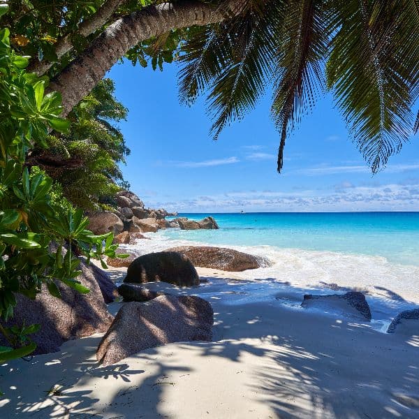 6 DAYS SEYCHELLES PRIVATE JET JOURNEY | Intriq Journey