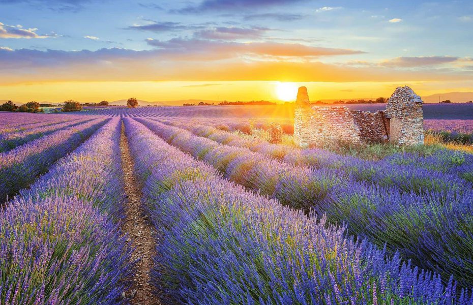 7 Luxurious Things to do in Provence