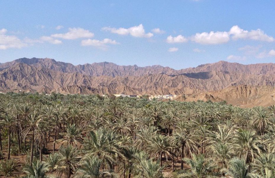 Retreat to the Arabian Fjords of Fujairah