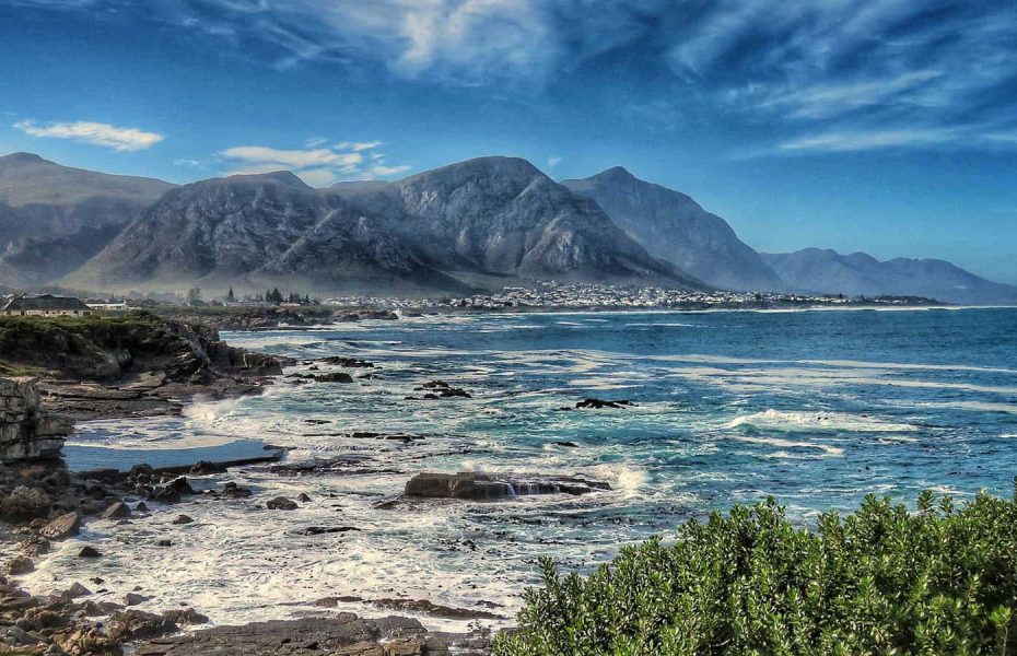 Whale Watching at Cape Whale Coast