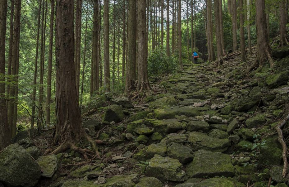 Hike the Kumano Kodo Trail