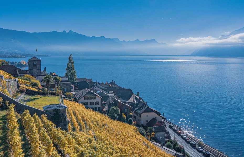 Lavaux Vineyard Terraces