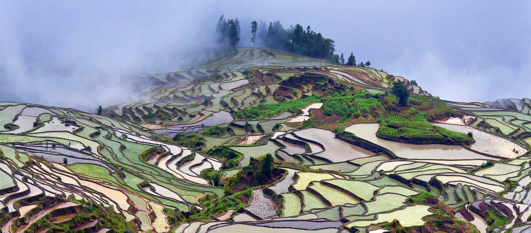 YUANYANG RICE TERRACES | Intriq Journey