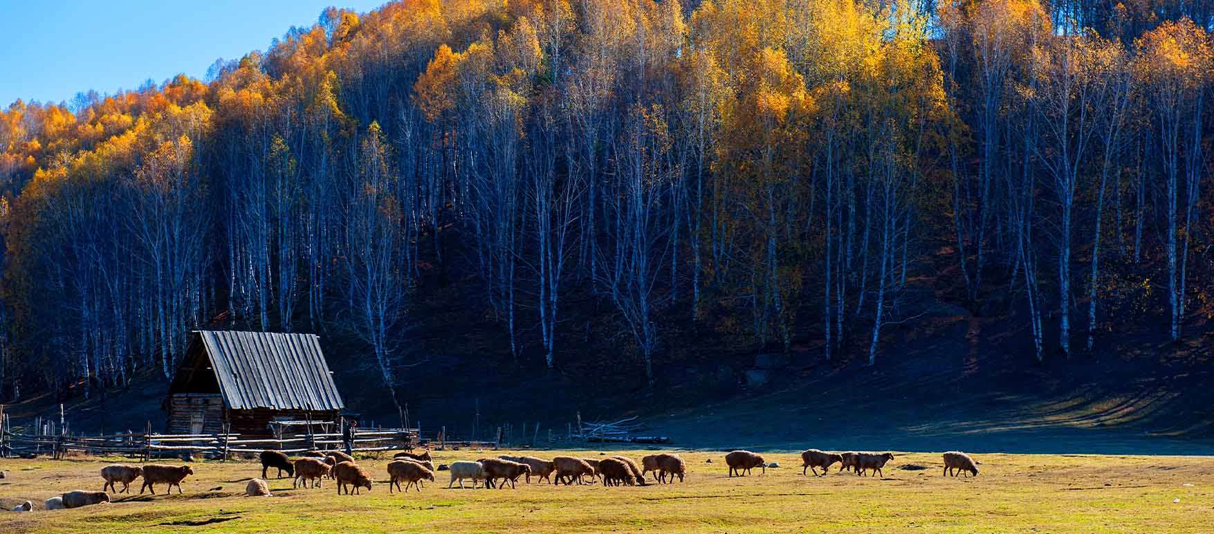 10D NORTHERN XINJIANG | Intriq Journey