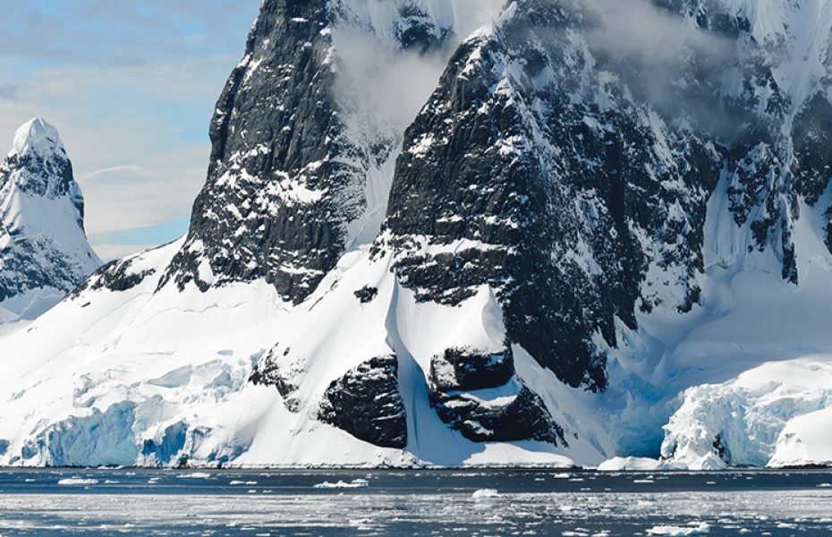 Antarctic Wildlife Encounters: Penguins, Whales, and Seals in Their Natural Habitat