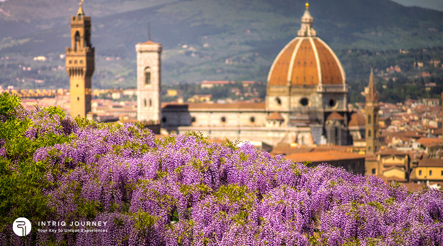 Florence in spring