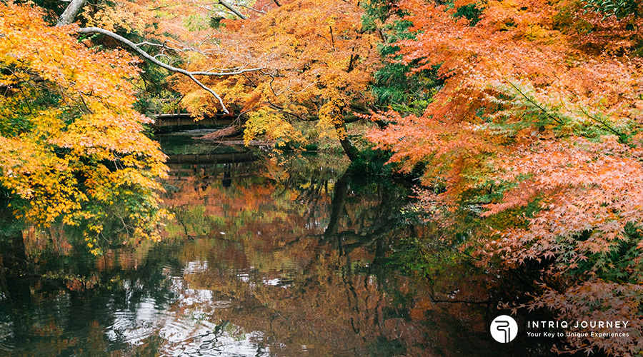 Image of Kyushu in Autumn