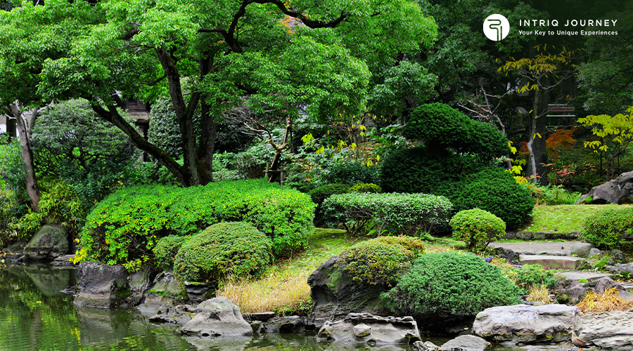 Japan In Summer