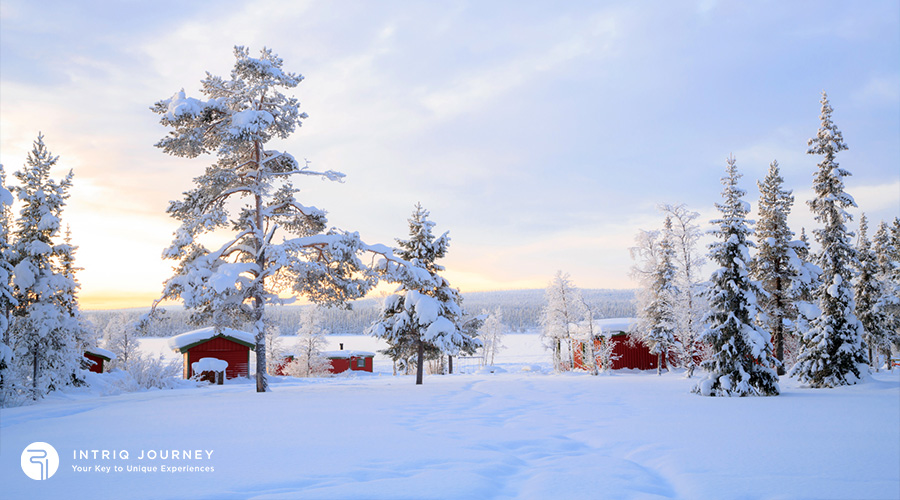 Sweden lapland winter landscape