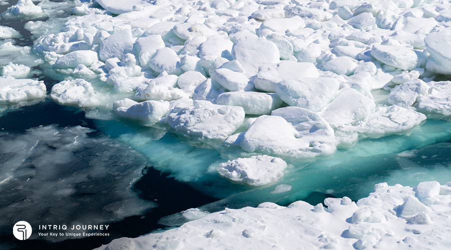 abashiri arctic