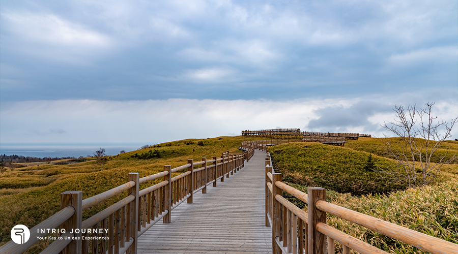 shiretoko national park wilderness pathway