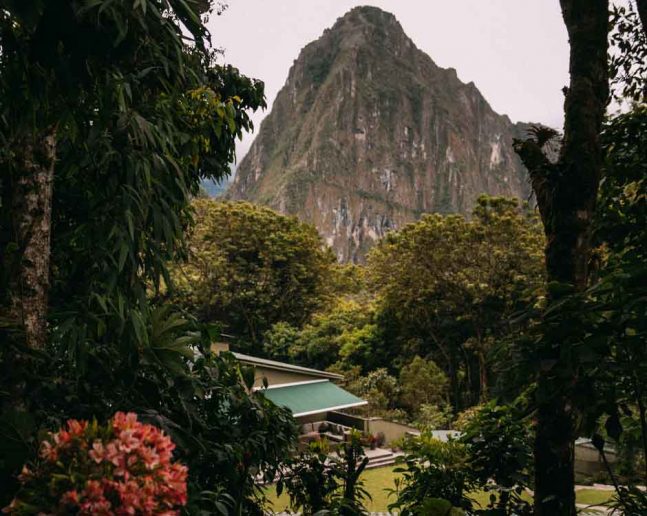 Machu Picchu 