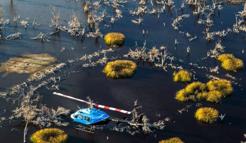 7 DAYS OKAVANGO DELTA SKY SAFARI