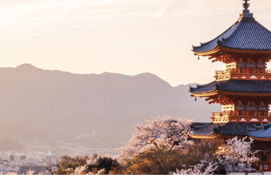 Discover the Essence of Kyoto: A Stay at Park Hyatt Kyoto