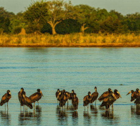 Day 7